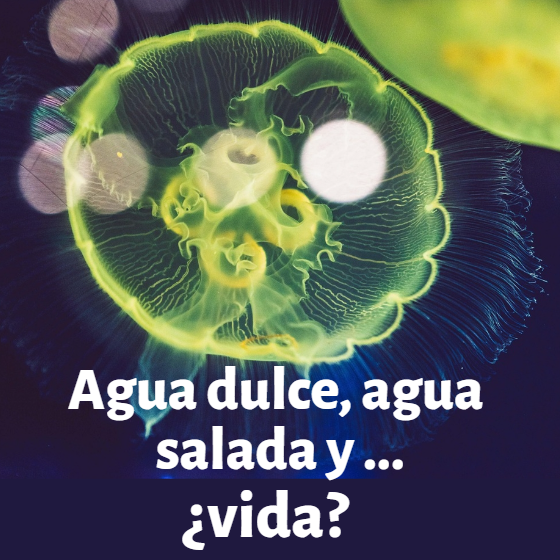 Agua dulce, agua salada y ……. ¿VIDA?